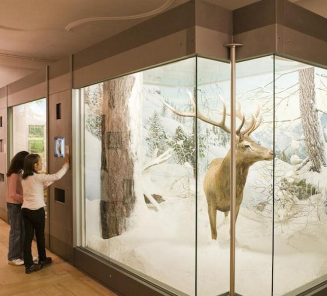 Südtiroler Landesmuseum für Jagd und Fischerein auf Schloss Wolfsthurn