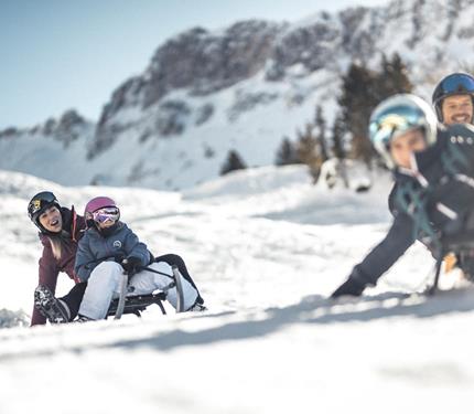 A tobogganing family