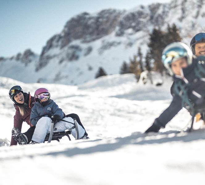 A tobogganing family