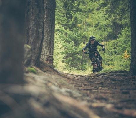 Mountainbiking in the forest